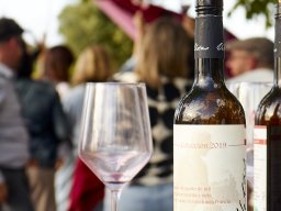 Festival Mar de Tethys 2026 - Bodega Vetas